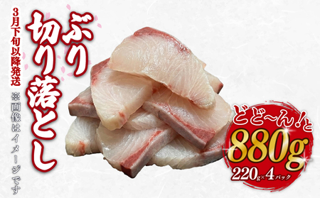【ぶり】ぶり切り落とし 約880g (220g×4パック) 