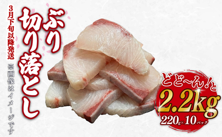 ブリ 鰤 切り落とし  2.2kg 220g ×10パック