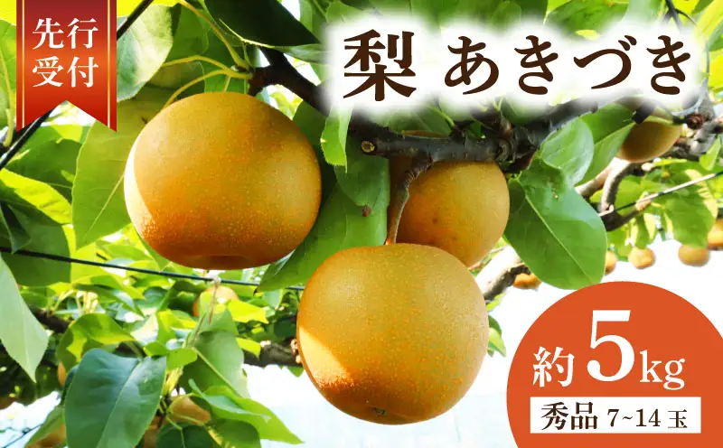齋藤園　梨「あきづき」約5kg（7～14玉入）2026年9月中旬～ ｜ 梨