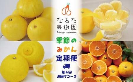 なるた果樹園 みかん ぽんかん 土佐文旦 温州みかん 小夏 4回 みかん