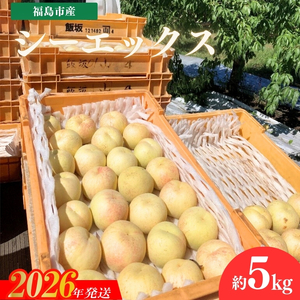 No.3268 安斎果樹園 福島のもも 「シーエックス」 約5kg（13玉～15玉）【2026年発送】