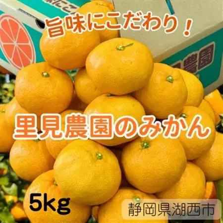 【旨味にこだわり】里見農園のみかん Sサイズ 5kg【1697941】