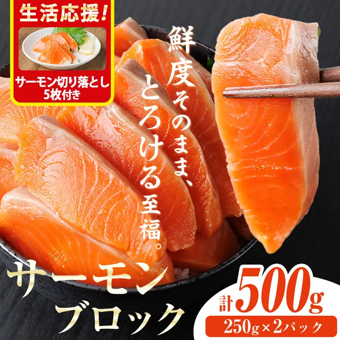 生活応援 サーモン切り落とし5枚付き！生食用 サーモン ブロック(計500g・250g×2P) 小分け 冷凍 魚 【AW-98】【丸正水産】