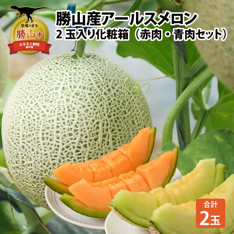 【先行予約】アールスメロン 青肉・赤肉 2玉 [A-060007]