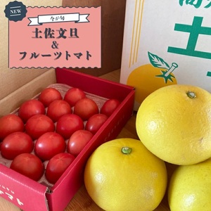 【ふるさと納税】土佐文旦（約7kg）とアルテトマト（フルーツトマト／800g）のこの時期美味しいものセット 数量限定 村田園芸 トマトハウスナカムラ 佐川町産 柑橘 果物 野菜 旬の時期に！＜2026年2月～3月発送＞