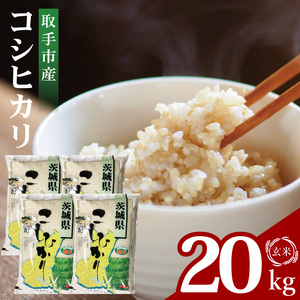 R7年産取手市産コシヒカリ 玄米20kg（5kg×4袋）|お米 米 こしひかり コシヒカリ 玄米 茨城県 取手市（BS015）