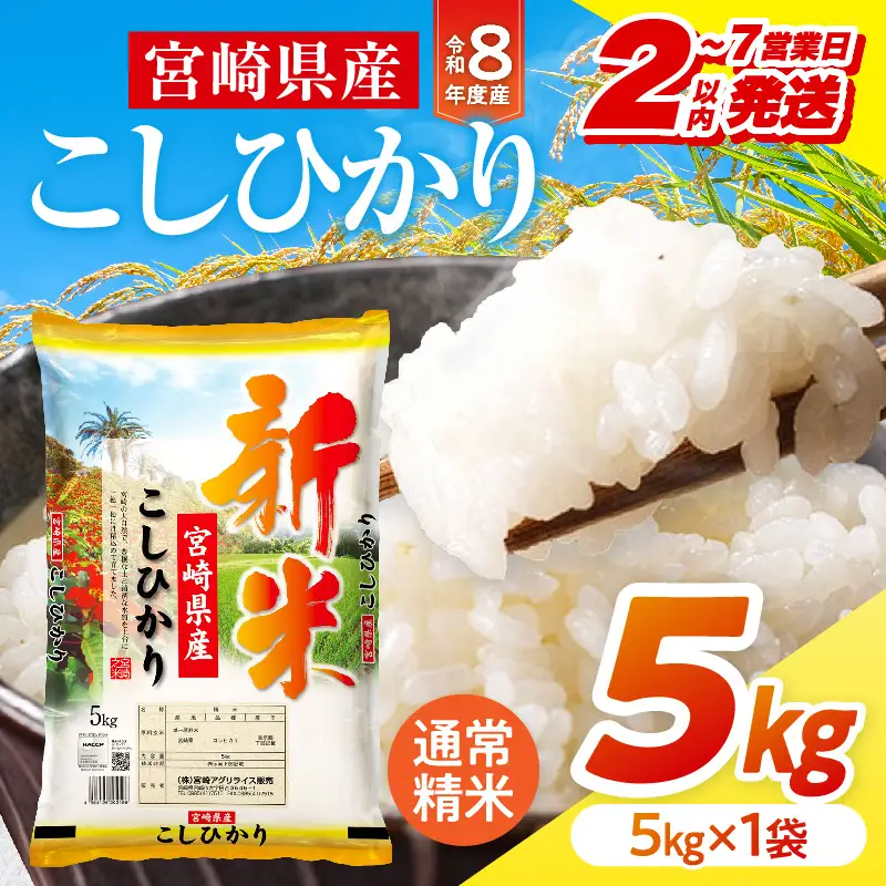 米 こしひかり 合計5kg 米[令和8年産 宮崎県産 5kg×1袋 2～7営業日以内に発送予定]