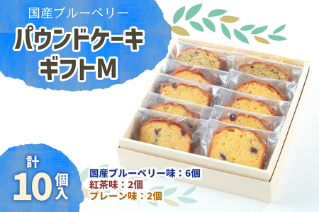 国産ブルーベリー パウンドケーキ ギフトM [0289]