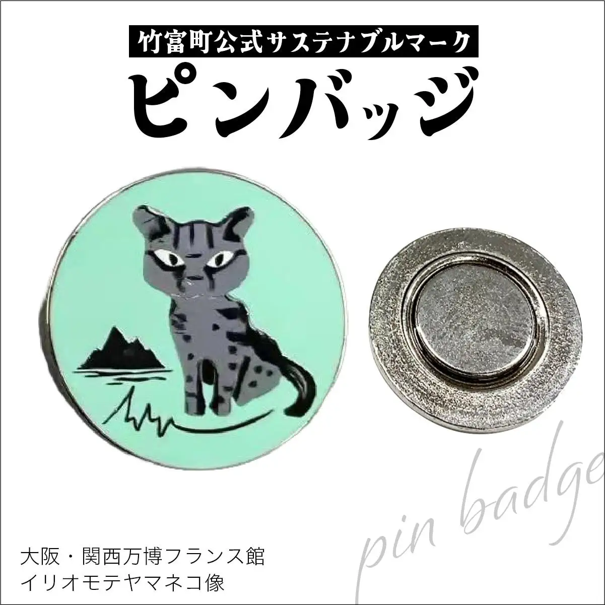 竹富町公式サステナブルマークピンバッジ【グリーン】（マグネットタイプ）