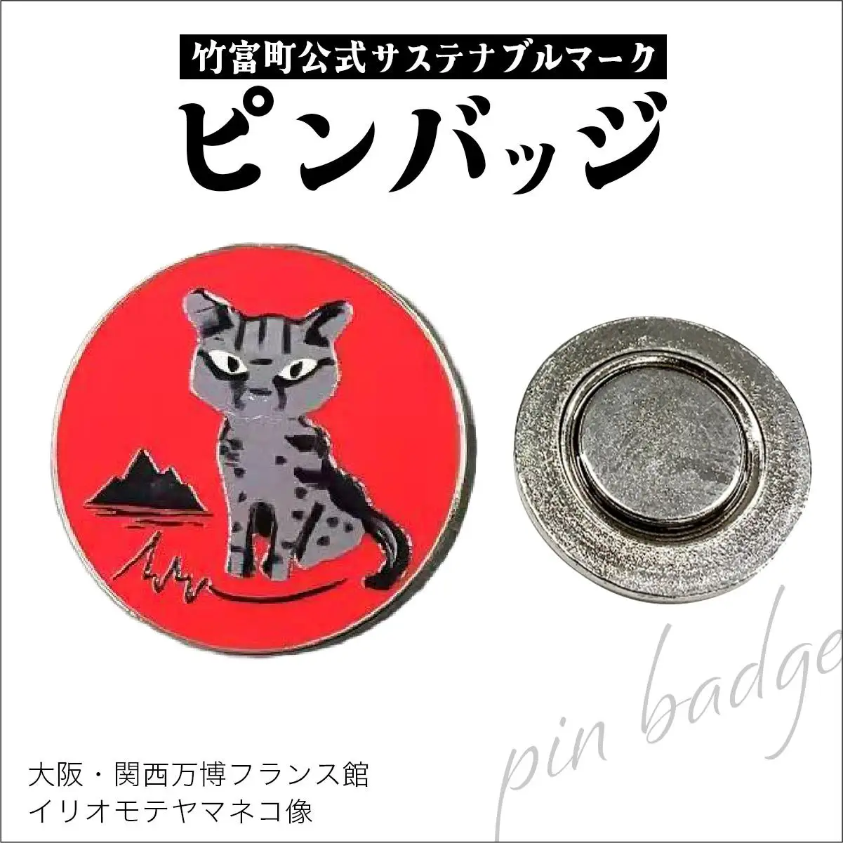 竹富町公式サステナブルマークピンバッジ【レッド】（マグネットタイプ）