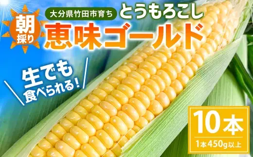 朝採りとうもろこし 恵味ゴールド 10本入り 【2026年7月上旬～8月上旬発送予定】