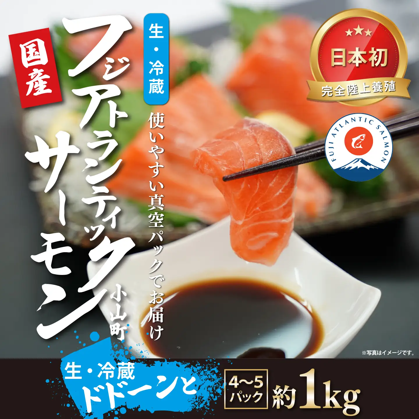 サーモン 約1kg 小分け 4～5P 国産サーモン