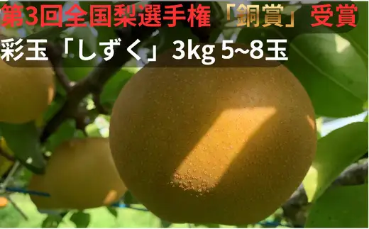 【R9先行予約】彩玉 3kg 5~8玉 「しずく」 梨 全国梨選手権 銅賞受賞 アルファイノベーション株式会社