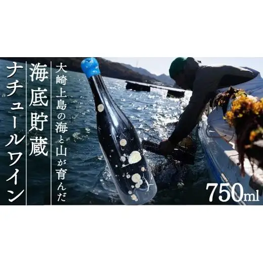 海底貯蔵 ワイン 「海底貯蔵 エヌ by Vignoble de NAKA rouge MBA」