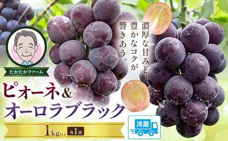 ピオーネ & オーロラブラック 計2房 1kg ﾋﾟｵｰﾈ ぶどう