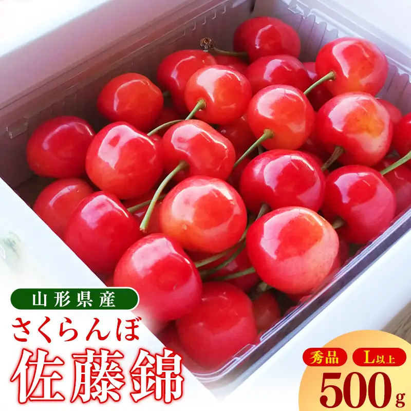 《先行予約》 令和9年産 山形県産 さくらんぼ 佐藤錦 500g Lサイズ以上 秀品 【2027年6月上旬頃から下旬頃発送予定】 ※ 配送不可 沖縄・離島　015-A-OT007