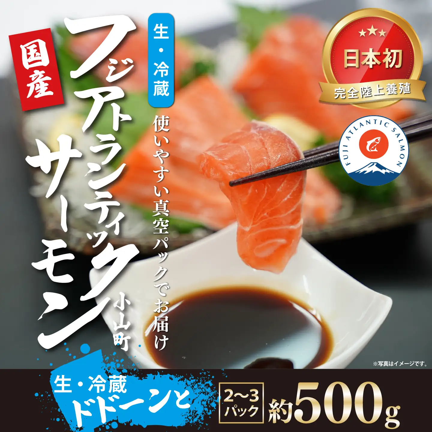 サーモン 約500g 小分け 2～3P 国産サーモン