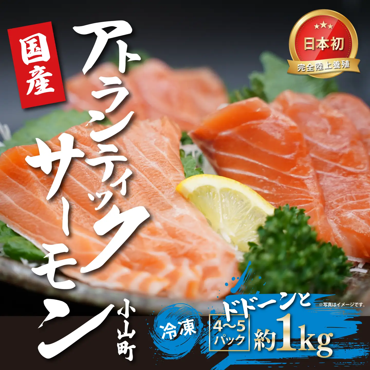 国産サーモン 冷凍 4～5P 約1kg サーモン