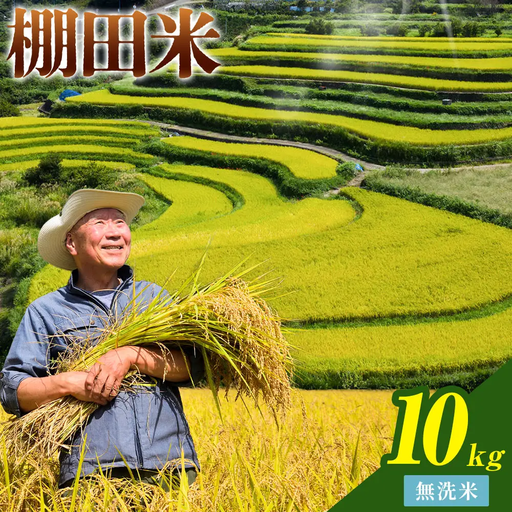 【先行予約】棚田米 無洗米 10kg 米