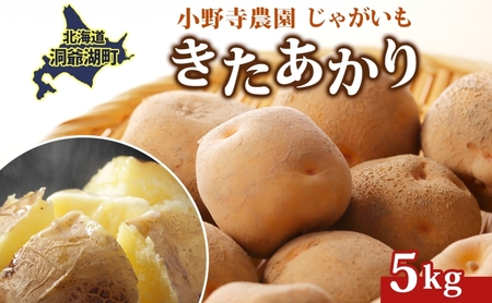 じゃがいも きたあかり 小野寺農園 北海道産 じゃがいも【5kg】【先行予約】