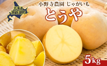 じゃがいも とうや 小野寺農園 北海道産 じゃがいも【5kg】【先行予約】