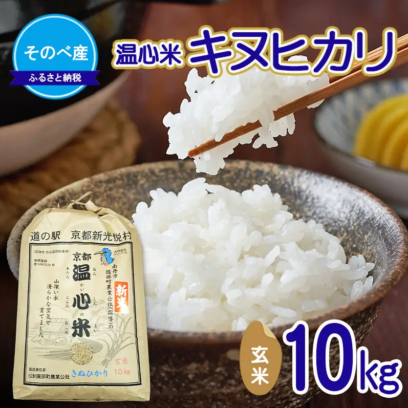 【寄付額を見直しました】 キヌヒカリ10kg 玄米×1 10kg袋 令和7年度産　そのべ産 温心米 お米 10kg 単一原料米 きぬひかり 丹波 精米 玄米 こめ コメ 京都