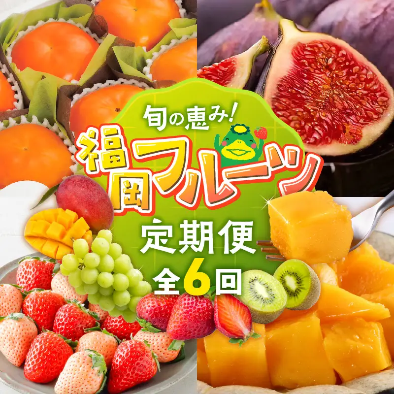旬の恵み 福岡フルーツ定期便 定期便 6回