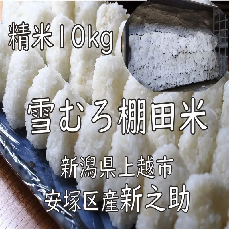 棚田米新之助 精白米 雪中貯蔵 新之助 10kg