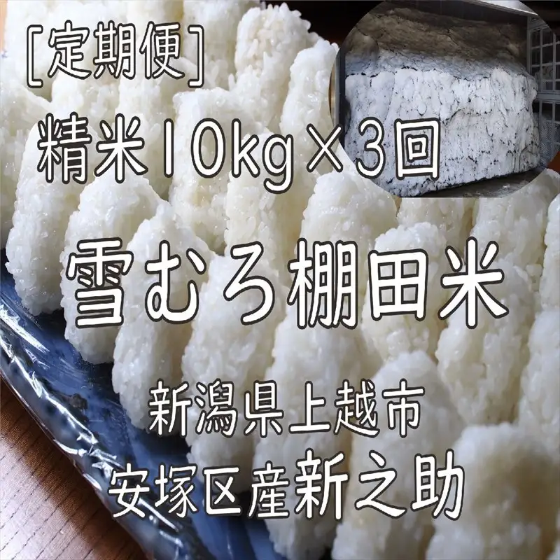【定期便3回】棚田米新之助 精白米 雪中貯蔵 新之助 10kg×3回30kg