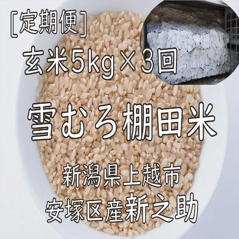 【定期便3回】棚田米新之助 玄米 雪中貯蔵 新之助 5kg×3回15kg