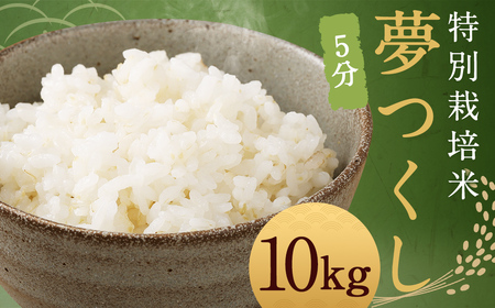 【5分】 夢つくし （特別栽培米） 約10kg 福岡県産 令和7年産 米 こめ コメ