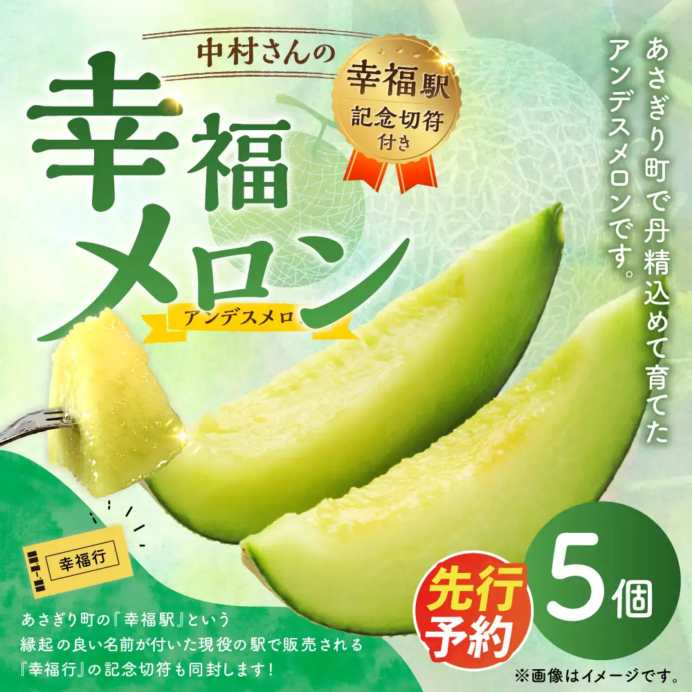 中村さんの幸福メロン（アンデスメロン）5個 メロン 果物 フルーツ 常温 熊本県 あさぎり町 【2027年4月下旬～5月上旬まで発送予定】