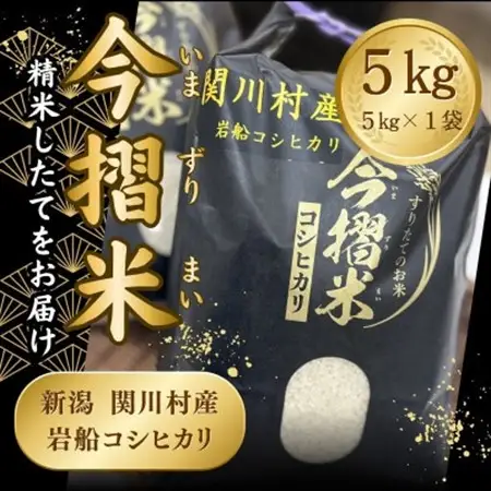 R7年産 関川村産 岩船コシヒカリ 今摺米 5kg(精米5kg×1袋)[JA北新潟]【1701348】