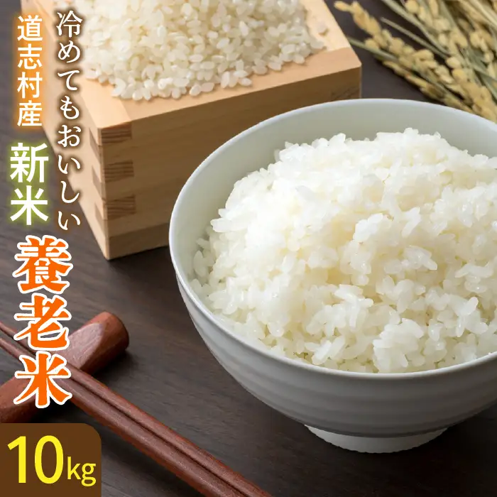 米【10kg】〜養老米〜 DSAD003