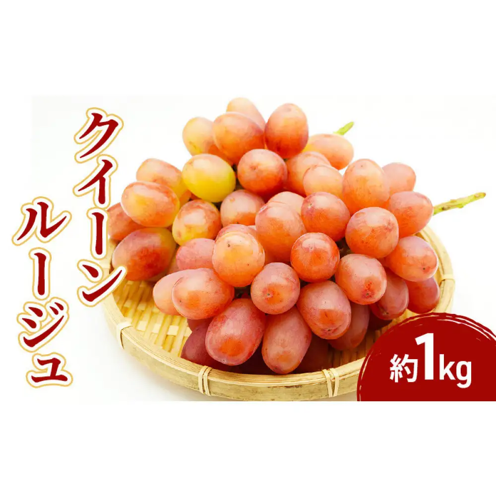 小松農園　2026年産先行予約クイーンルージュ＠ 1kg　果物 フルーツ ぶどう　長野県 | ぶどう