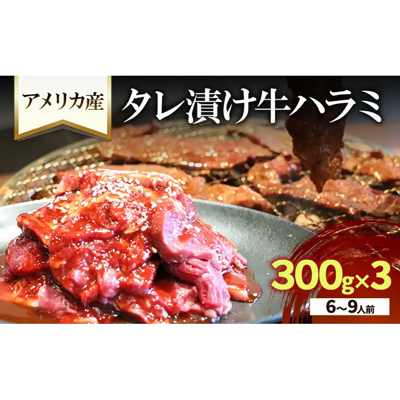 牛ハラミ タレ漬け 300g×3 6〜9人前 牛ハラミ