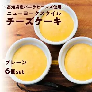 ニューヨークスタイルチーズケーキ プレーン 6個セット　高知県産バニラビーンズ使用 スイーツ ギフト お取り寄せ