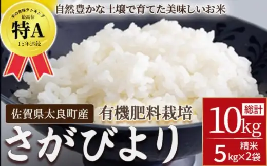 【先行予約】【令和8年産】佐賀県太良町産～牟田農園のさがびより（５kg×２袋）＜精米＞ 新米 米 さがびより 牟田農園 佐賀県 太良町 PF4x1