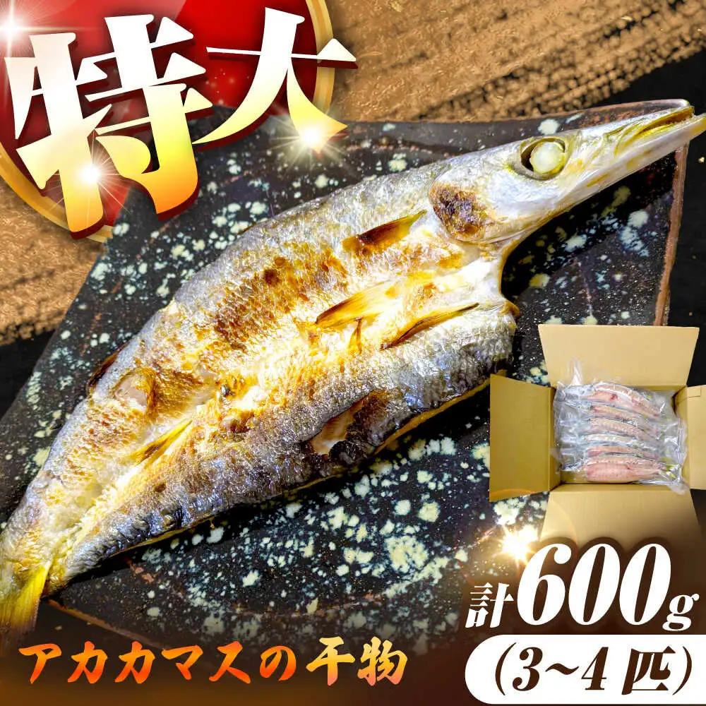アカカマス 干物 3～4枚 JAQ036 かます