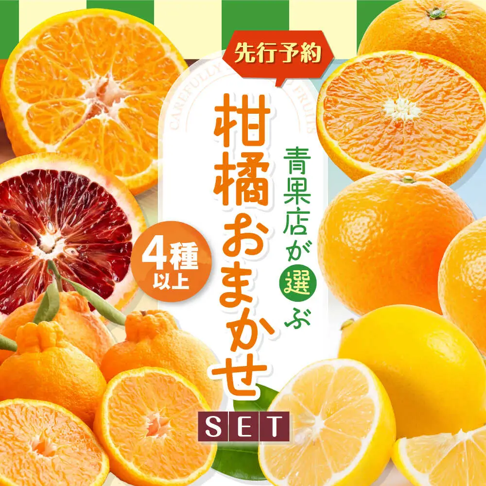 柑橘【3月上旬発送】柑橘おまかせセット[AGBN053]