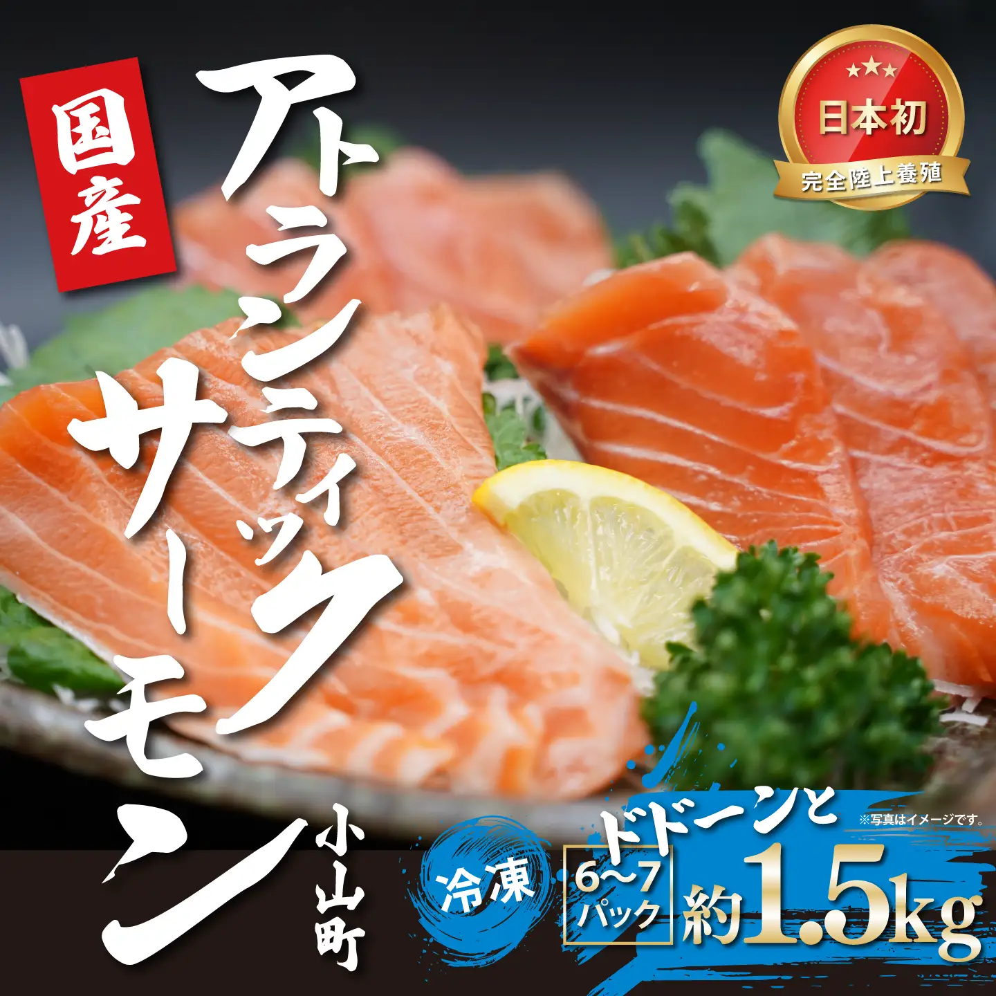 国産サーモン 冷凍 6～7P 約1.5kg サーモン