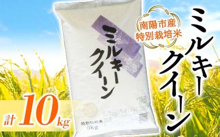 【金賞受賞農家】 令和7年産 特別栽培米 ミルキークイーン 計10kg (5kg×2袋) 『あおきライスファーム』 山形南陽産 米 白米 精米 ご飯 農家直送 山形県 南陽市 [2409]
