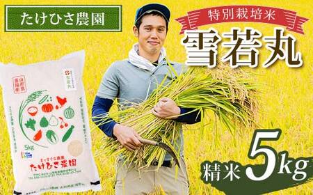令和7年産 特別栽培米 雪若丸 (精米) 5kg 『たけひさ農園』 山形南陽産 米 白米 ご飯 農家直送 山形県 南陽市 [2365]