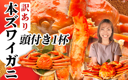 本ズワイガニ 頭付き 訳あり700g(1杯) 塩竈市 塩釜水産食品 かに 蟹 カニ ズワイガニ