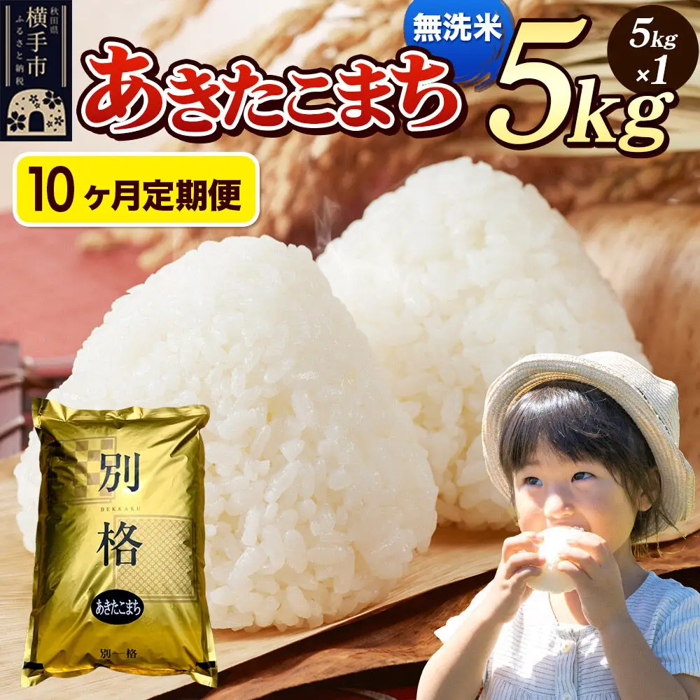 《令和7年産》《定期便10ヶ月》 米 あきたこまち 5kg 【無洗米】 秋田県産