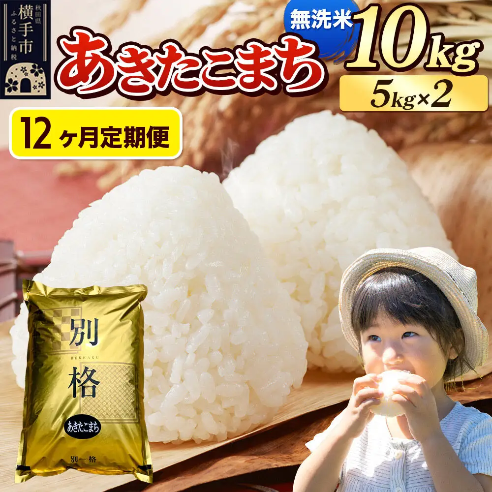 《令和7年産》《定期便12ヶ月》 米 あきたこまち 10kg（5kg×2袋） 【無洗米】 秋田県産