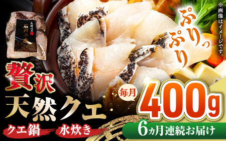 【全6回定期便】 【 対馬産 】 天然 クエ 400g （切り身）《対馬市》【石川水産】 鍋 水炊き 鮮度抜群 海鮮[WAB031]