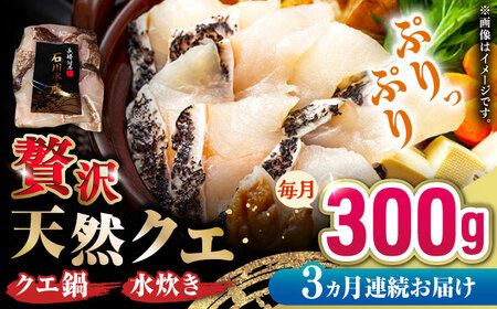 【全3回定期便】 【 対馬産 】 天然 クエ 300g （身のみ）《対馬市》【石川水産】 鍋 水炊き 鮮度抜群 海鮮[WAB033]