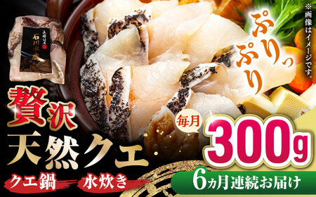 【全6回定期便】 【 対馬産 】 天然 クエ 300g （身のみ）《対馬市》【石川水産】 鍋 水炊き 鮮度抜群 海鮮[WAB034]