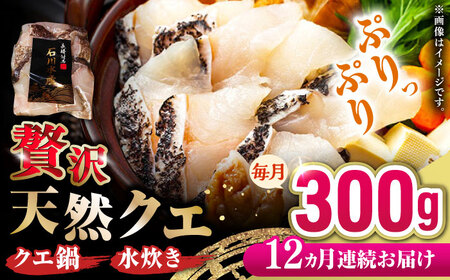 【全12回定期便】 【 対馬産 】 天然 クエ 300g （身のみ）《対馬市》【石川水産】 鍋 水炊き 鮮度抜群 海鮮[WAB035]